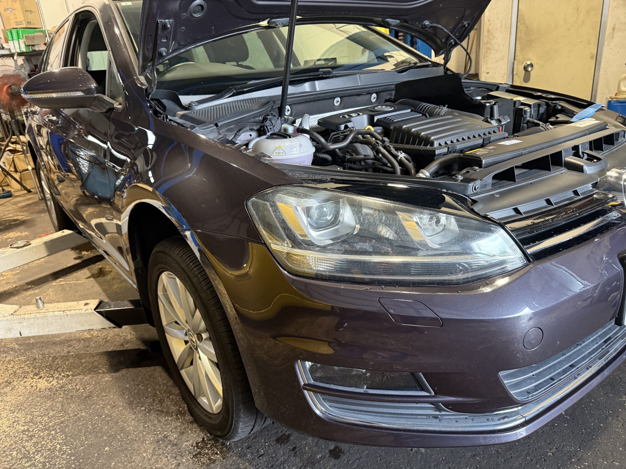 VW ゴルフヴァリアント ご成約 | プラウディア｜輸入車を知り尽くした